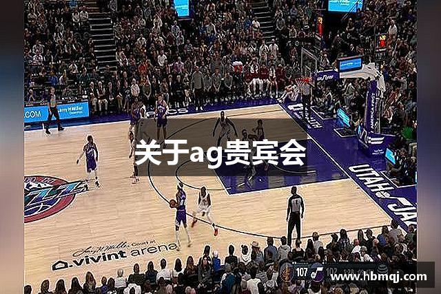 关于ag贵宾会